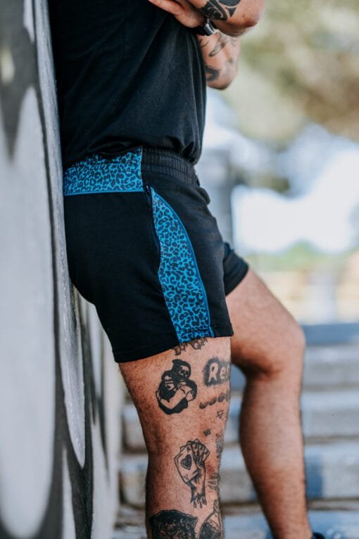 Kat lleopard blau - Imatge 11