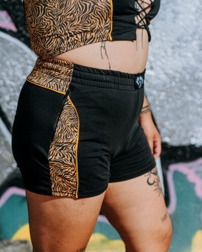 Kat zebra groc