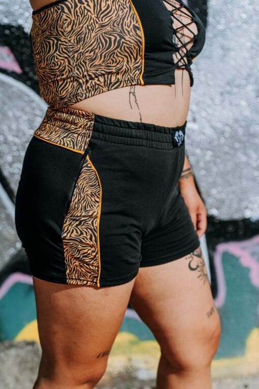 Kat zebra groc