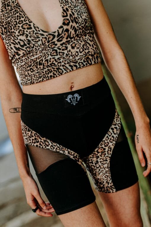 Kuv lleopard - Imatge 9