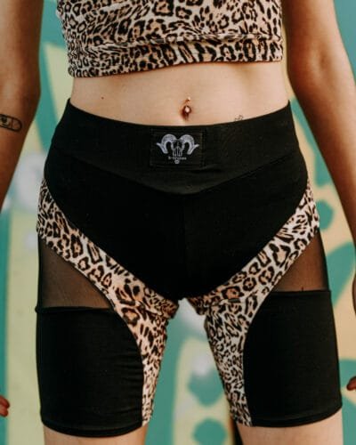 Kurt lleopard