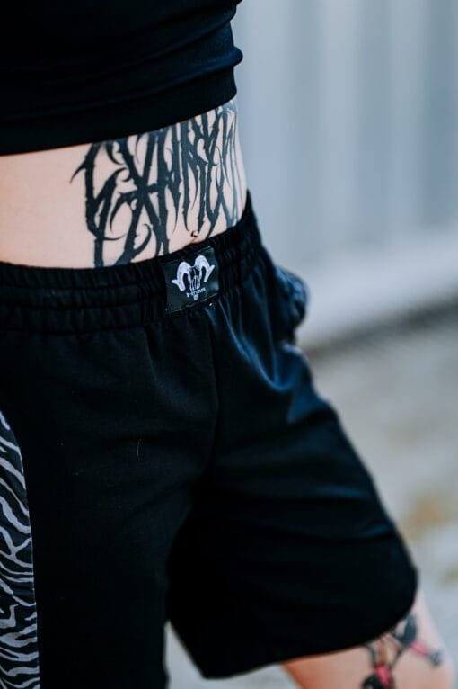 Kanó zebra gris - Imatge 5