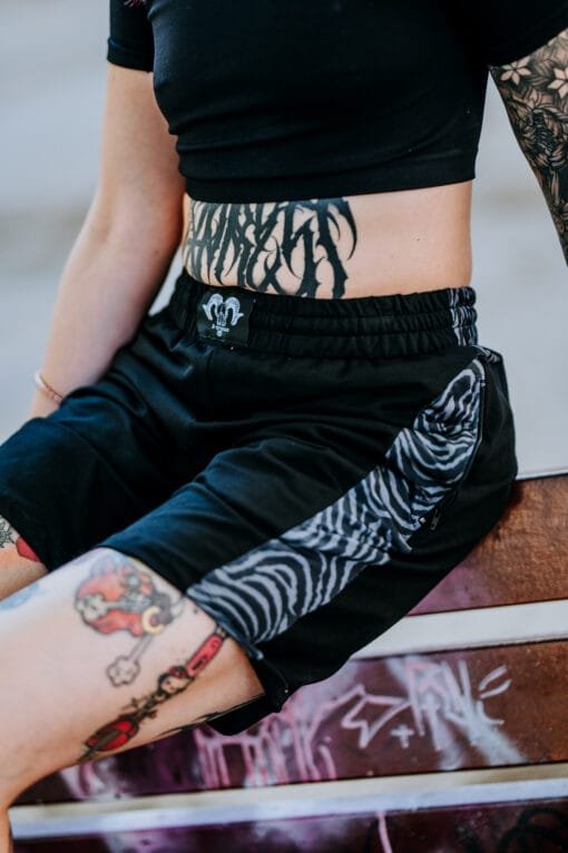 Kanó zebra gris - Imatge 6