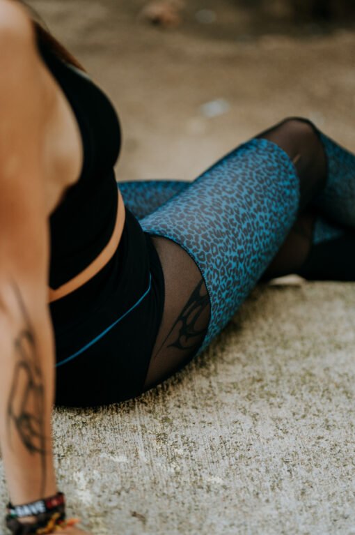 Komet lleopard blau - Imatge 7