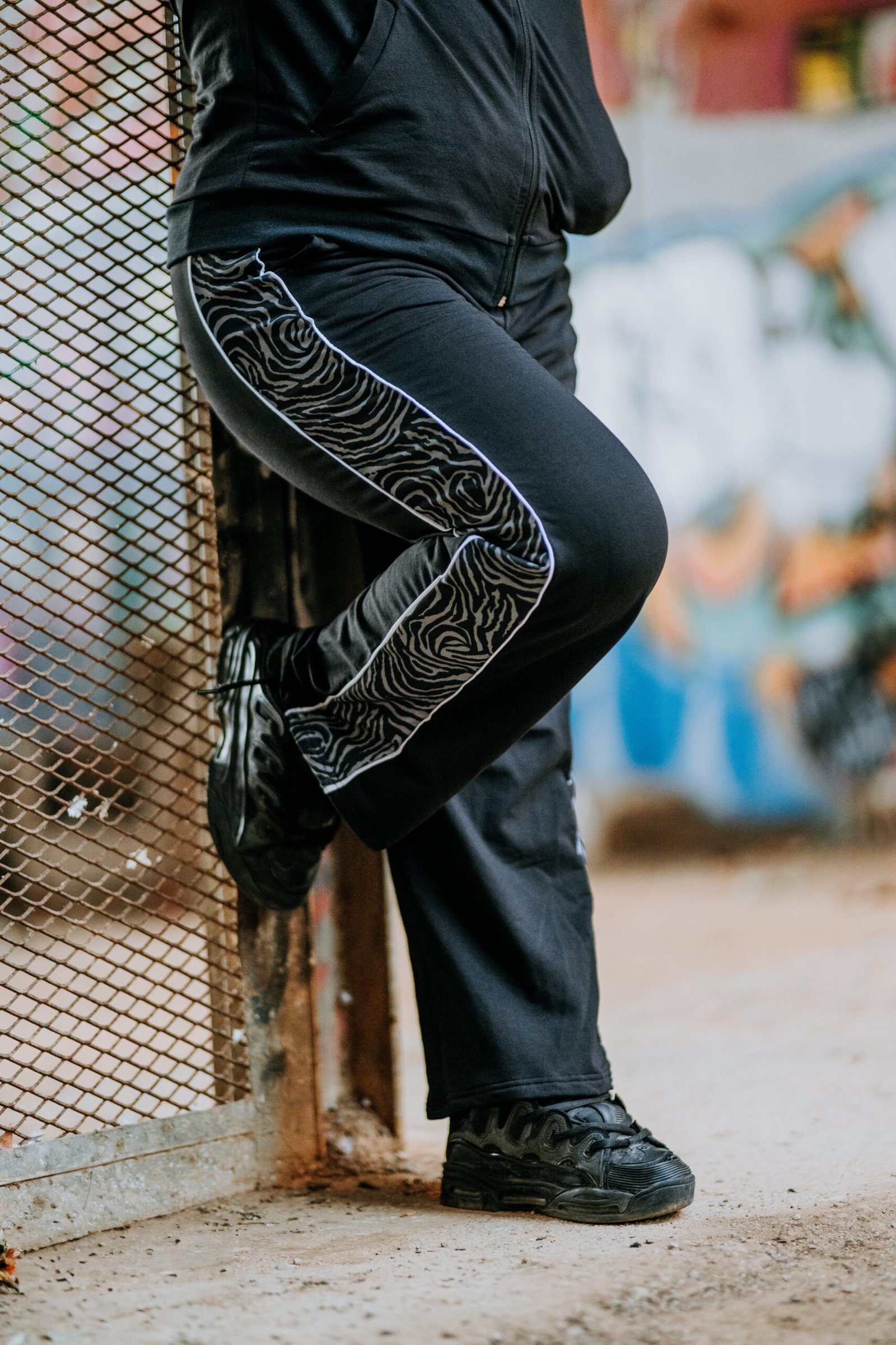 Kampana zebra gris - Imatge 7