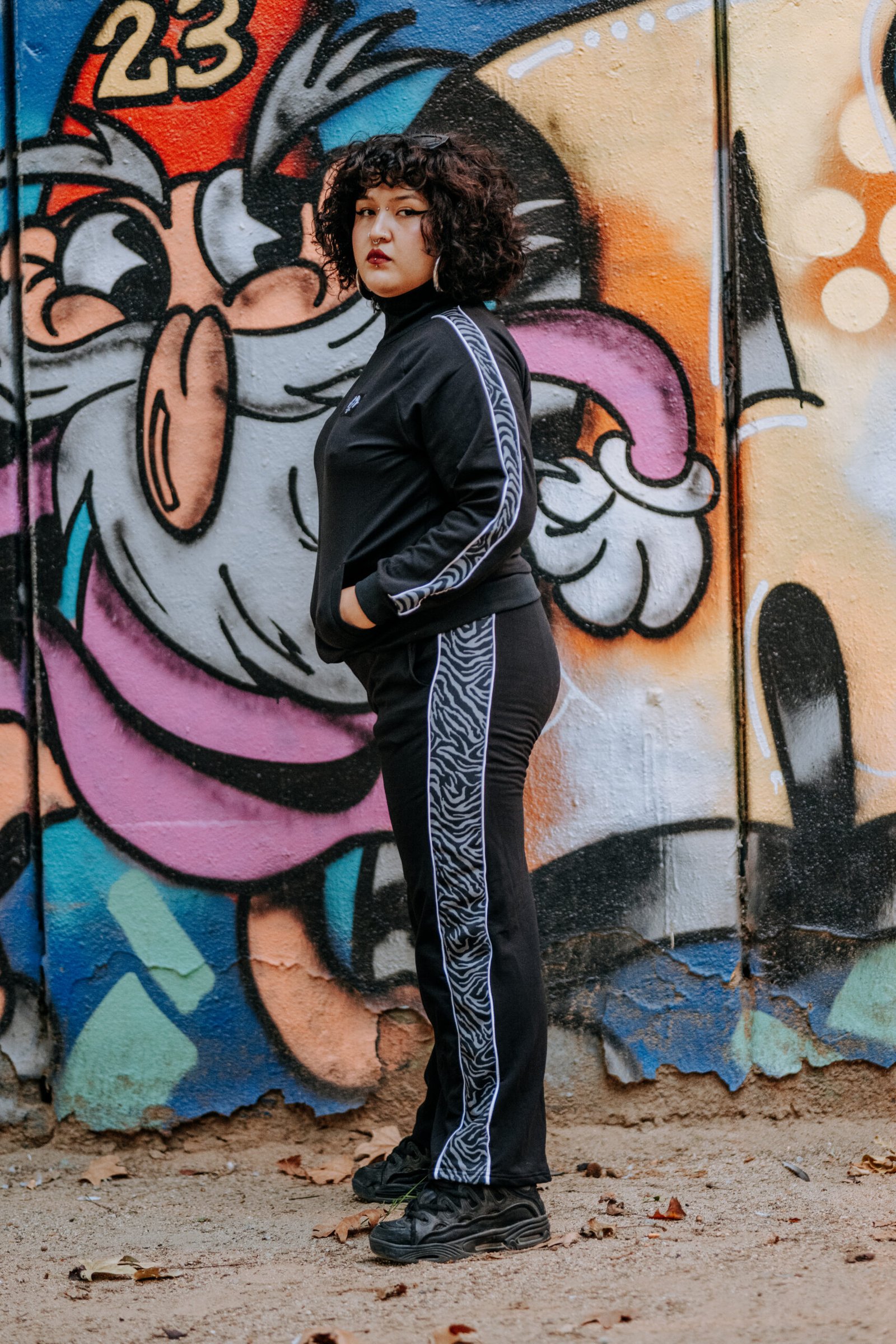 Kampana zebra gris - Imatge 4