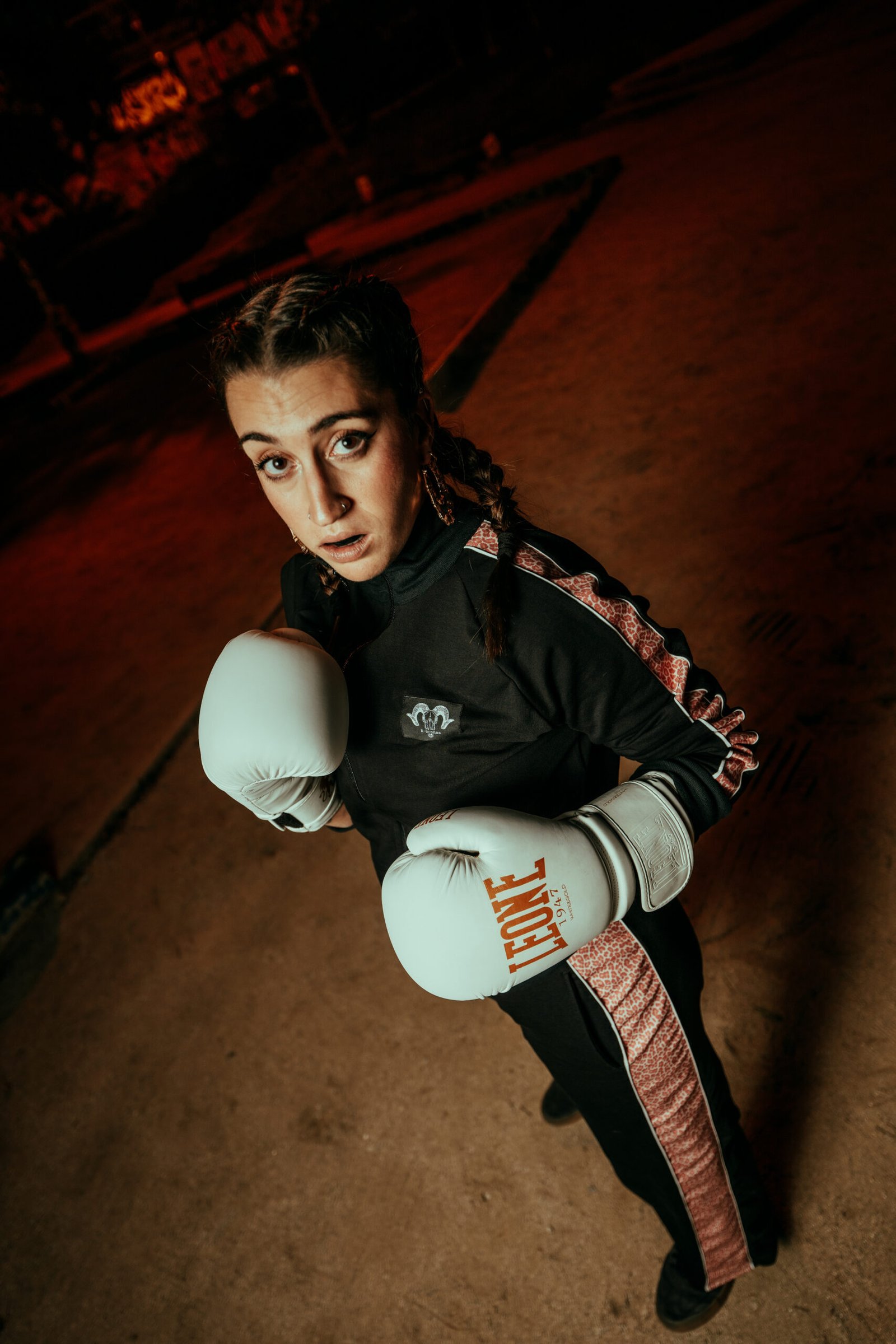 Kampana lleopard rosa - Imatge 6