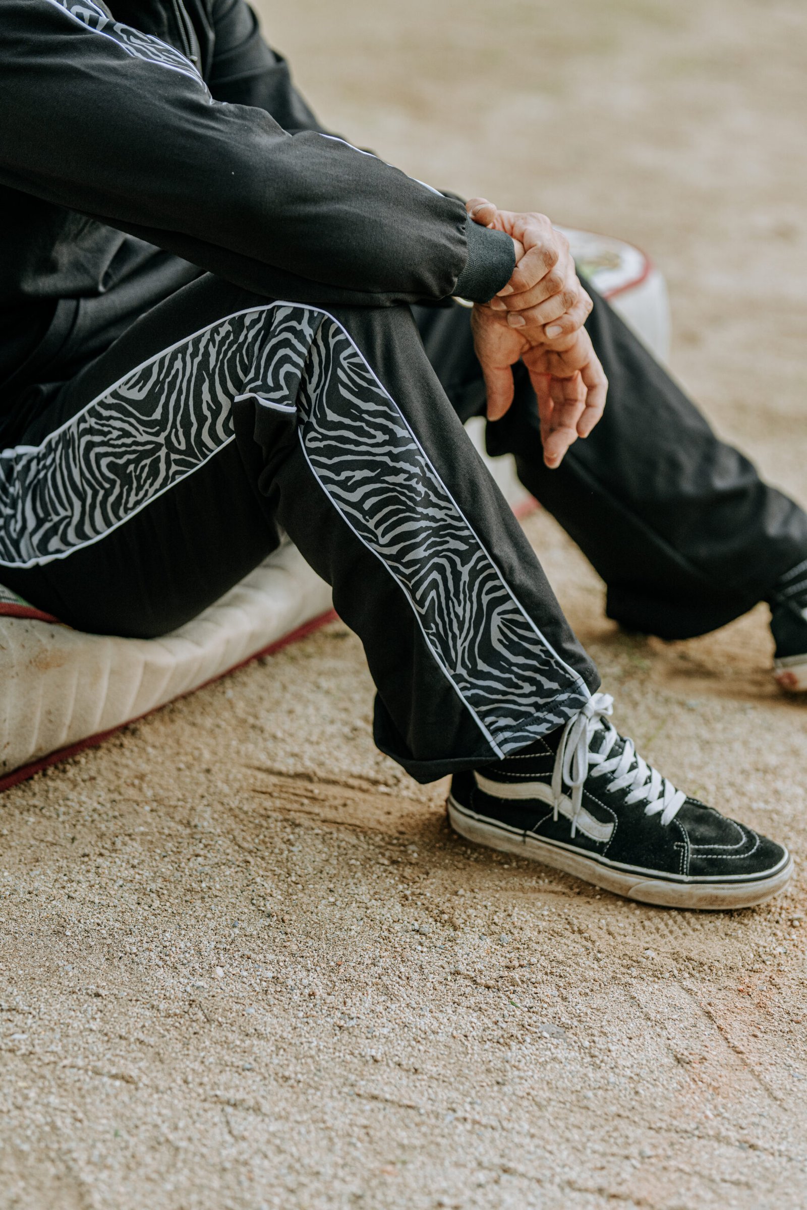 Kampana zebra gris - Imatge 8