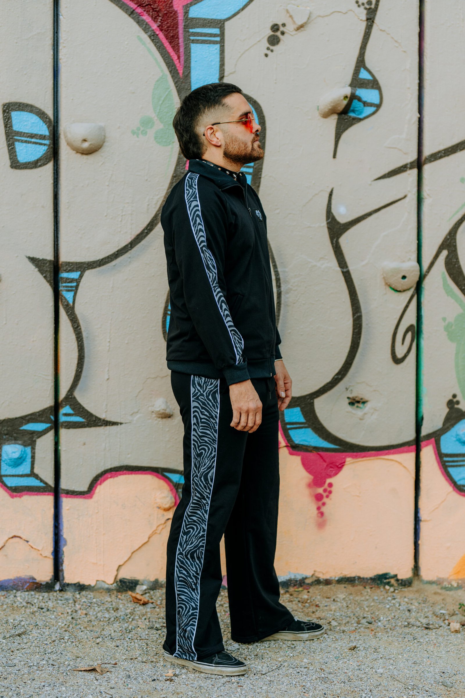 Kampana zebra gris - Imatge 10